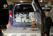 PERCHEZIȚII: 340.000 lei, 4.000 euro și droguri confiscate de la trei indivizi (foto/video)
