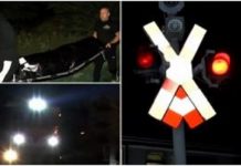 FOTO: Un poliţist local a murit călcat de tren. Trupul bărbatului a fost pur şi simplu zdobit de roţile trenului