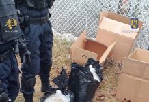 VIDEO: 50 kg de droguri aduse de un cetățean străin din Ungaria găsite de ofițerii antidrog