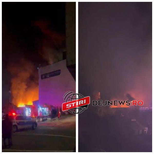 403410655_7343995195667672_3665624733388887879_n