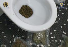FOTO: Droguri pentru cluburile de noapte în valoare de 800 mii euro ascunse până și în WC-uri