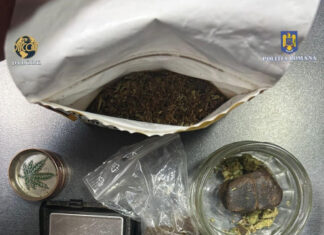 VIDEO: FLAGRANT – Un bărbat vindea cu 50 lei gramul de canabis