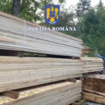 12 PERCHEZIȚII LA PERSOANE CERCETATE PENTRU FALS INFORMATIC ȘI INFRACȚIUNI LA REGIMUL SILVIC (video)