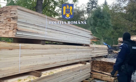 12 PERCHEZIȚII LA PERSOANE CERCETATE PENTRU FALS INFORMATIC ȘI INFRACȚIUNI LA REGIMUL SILVIC (video)