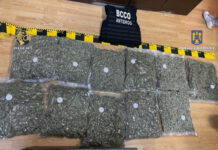 VIDEO: Prins în timp ce ridica 11,6 kg cannabis de la o firmă de curierat
