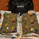 VIDEO: 15 kg de cannabis descoperite într-un troler preluat de doi bărbați din incinta unei firme de transport internațional