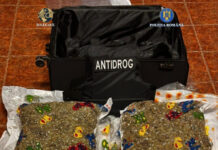 VIDEO: 15 kg de cannabis descoperite într-un troler preluat de doi bărbați din incinta unei firme de transport internațional