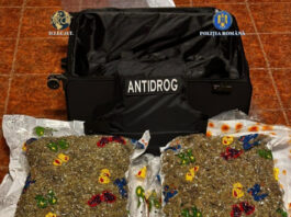 VIDEO: 15 kg de cannabis descoperite într-un troler preluat de doi bărbați din incinta unei firme de transport internațional