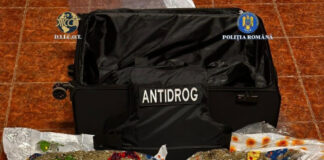 VIDEO: 15 kg de cannabis descoperite într-un troler preluat de doi bărbați din incinta unei firme de transport internațional