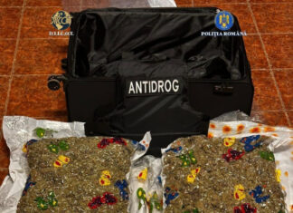 VIDEO: 15 kg de cannabis descoperite într-un troler preluat de doi bărbați din incinta unei firme de transport internațional