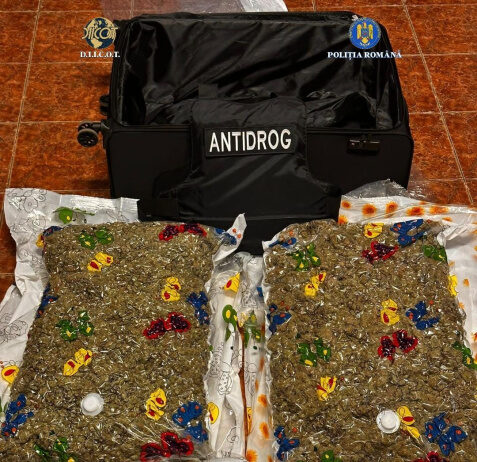 VIDEO: 15 kg de cannabis descoperite într-un troler preluat de doi bărbați din incinta unei firme de transport internațional